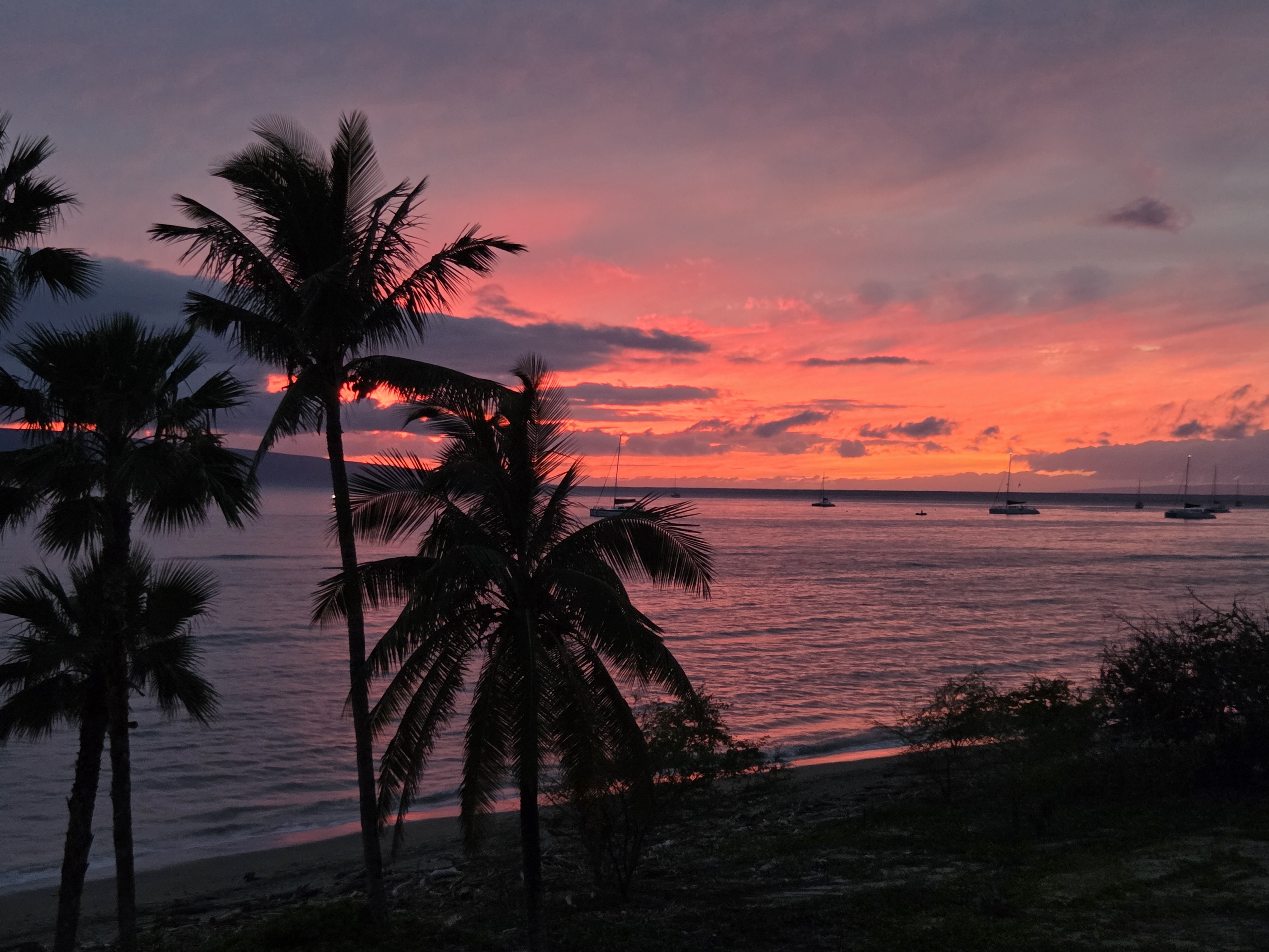 Mountain view studio in Lahaina gallery image