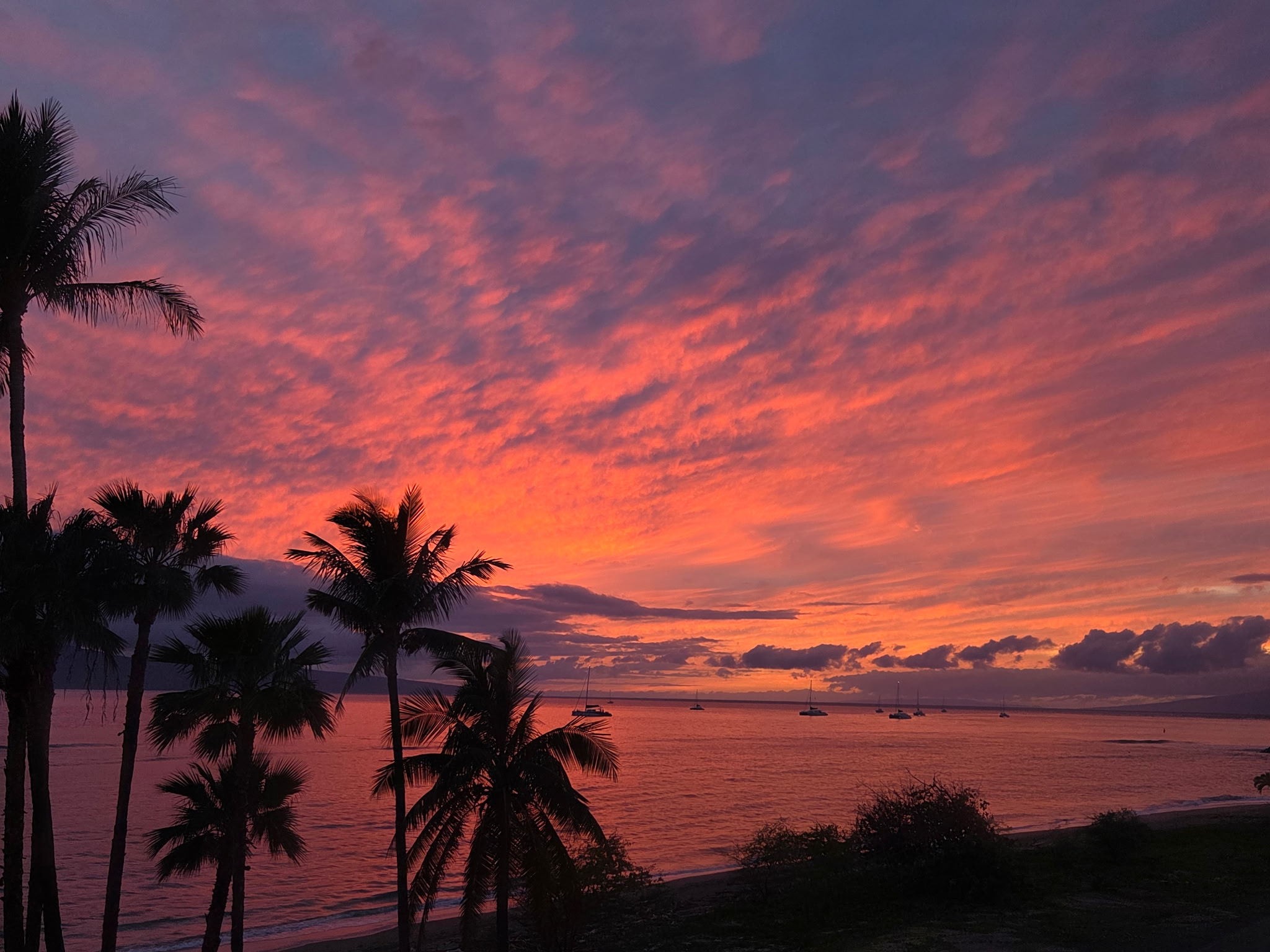Mountain view studio in Lahaina gallery image